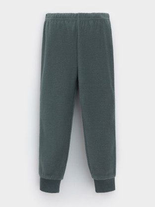 Брюки для мальчика, артикул: ФЛ 40006-1/10 ГР, цвет: зеленый